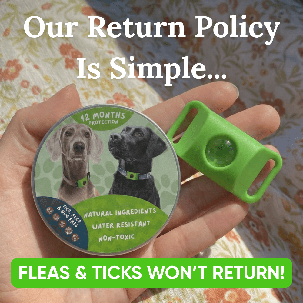 EssencePet™ 12-Month Natural Flea & Tick Pendant for Dogs