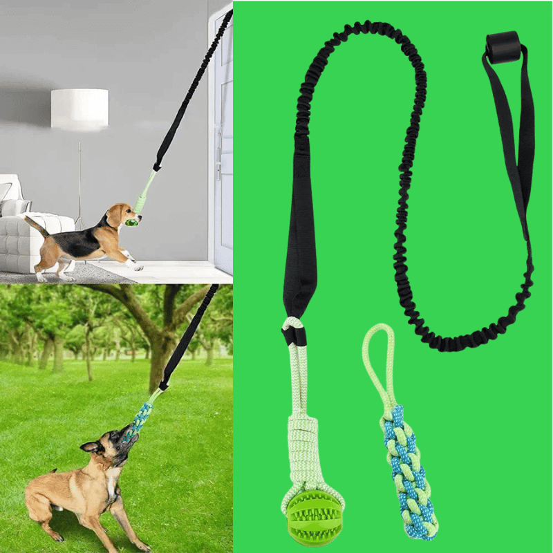 EssencePet™ Fun & Fresh Duo