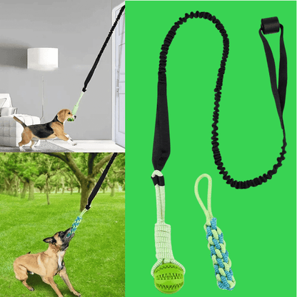 EssencePet™ Fun & Fresh Duo