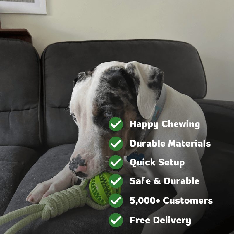 EssencePet™ Bungee Tug Toy
