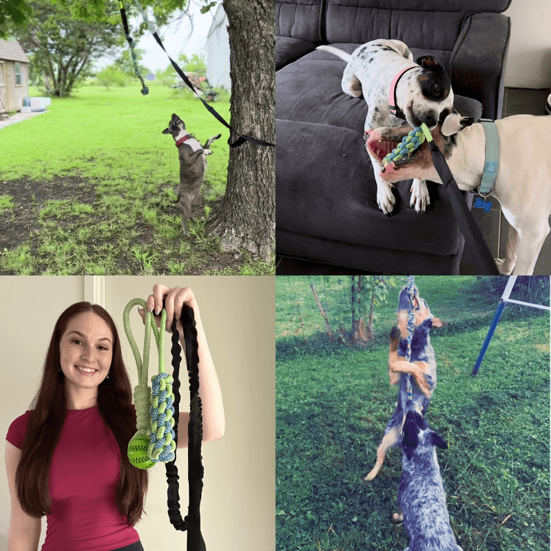 EssencePet™ Bungee Tug Toy