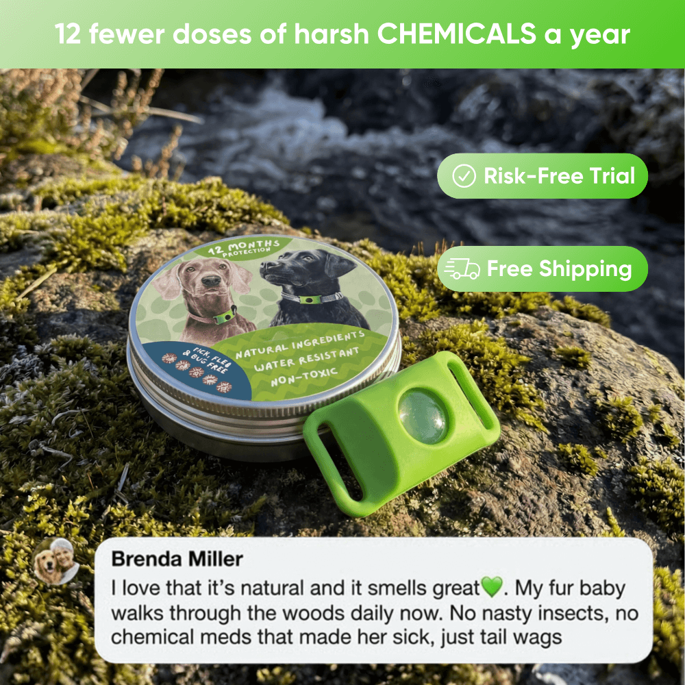 EssencePet™ 12-Month Natural Flea & Tick Pendant for Dogs