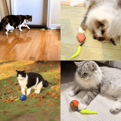 Speedy Tail 2.0